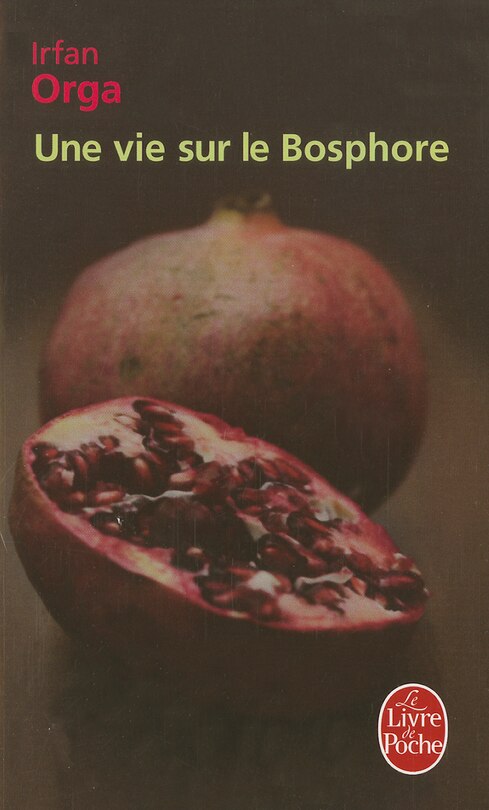 Couverture_UNE VIE SUR LE BOSPHORE
