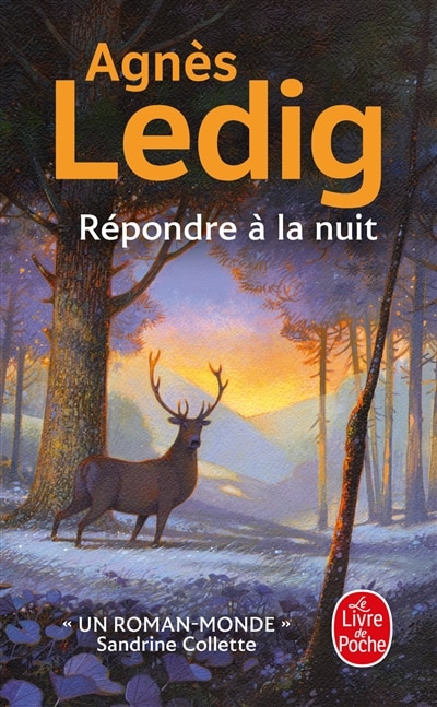 Front cover_Repondre a la nuit