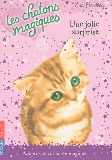 Couverture_Une jolie surprise