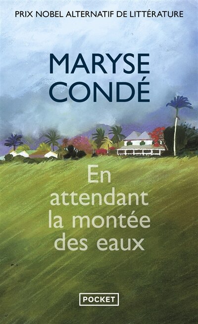 Front cover_En attendant la montée des eaux