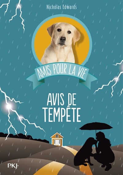 Front cover_Amis pour la vie tome 2 Avis de tempête