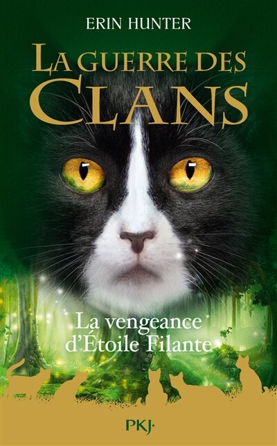 Front cover_La vengeance d'Etoile Filante
