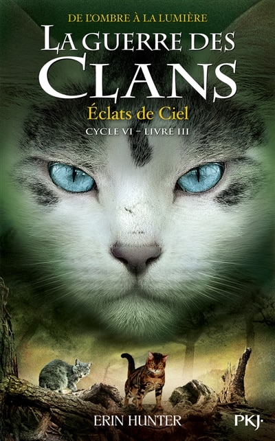 Couverture_Eclats de ciel