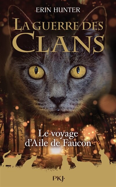 Front cover_Le voyage d'Aile de faucon