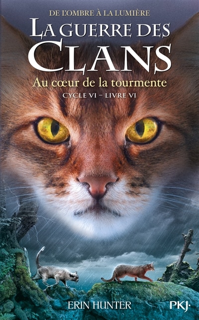 Front cover_Au coeur de la tourmente