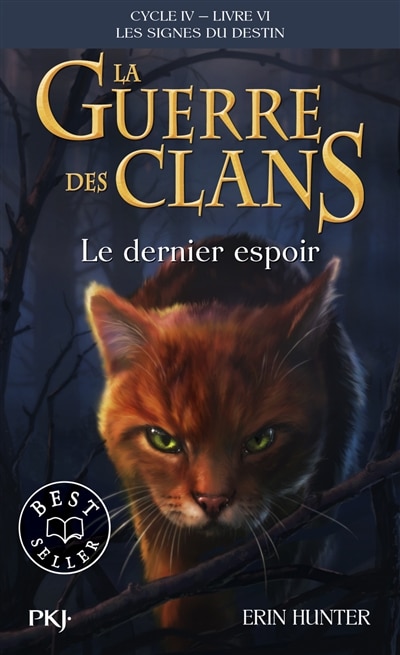 Front cover_Le dernier espoir