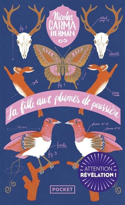 Couverture_La fille aux plumes de poussière