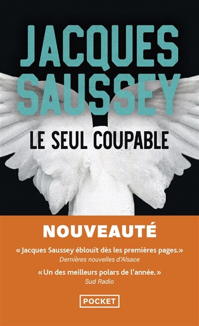 Front cover_Le seul coupable