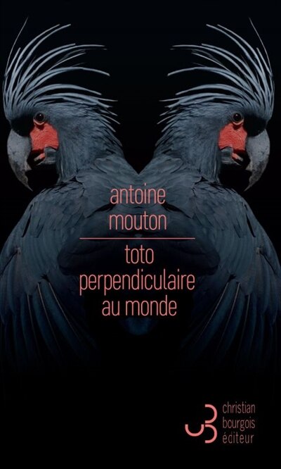 Front cover_Toto perpendiculaire au monde
