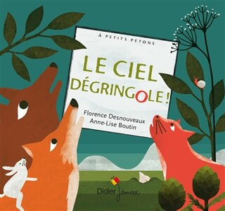 Couverture_Le ciel dégringole !