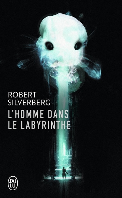 Couverture_L' homme dans le labyrinthe