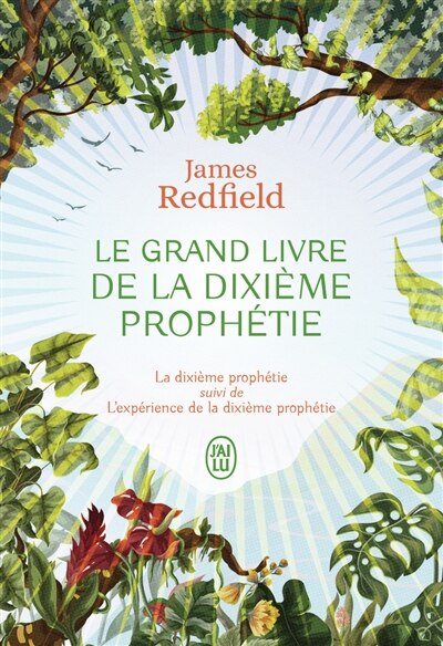 Front cover_Le grand livre de la dixième prophétie des Andes