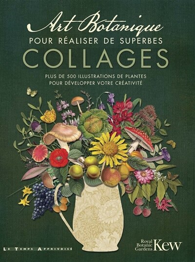 Art botanique pour réaliser de superbes collages: plus de 500 illustrations de plantes pour développer votre créativité