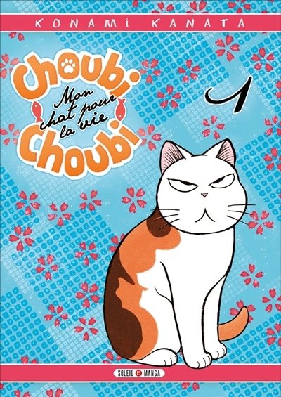 Couverture_CHOUBI-CHOUBI CHAT T01