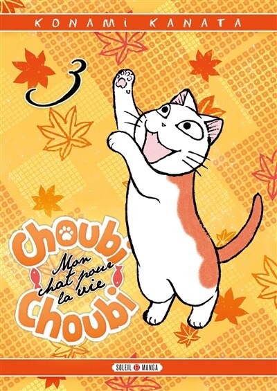 Couverture_CHOUBI-CHOUBI CHAT T03