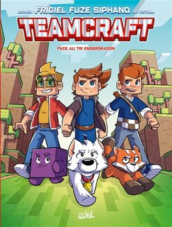 Couverture_Face au tri Enderdragon