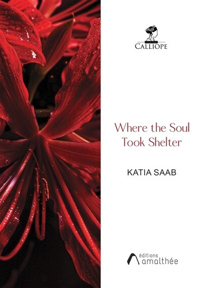 Front cover_Where the Soul Took Shelter