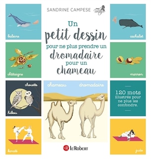 Front cover_Un petit dessin pour ne plus prendre un dromadaire pour un chameau