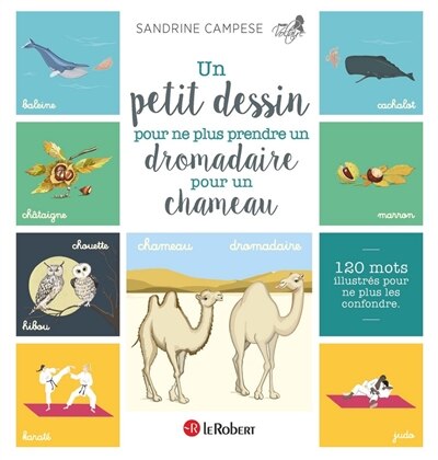 Front cover_Un petit dessin pour ne plus prendre un dromadaire pour un chameau