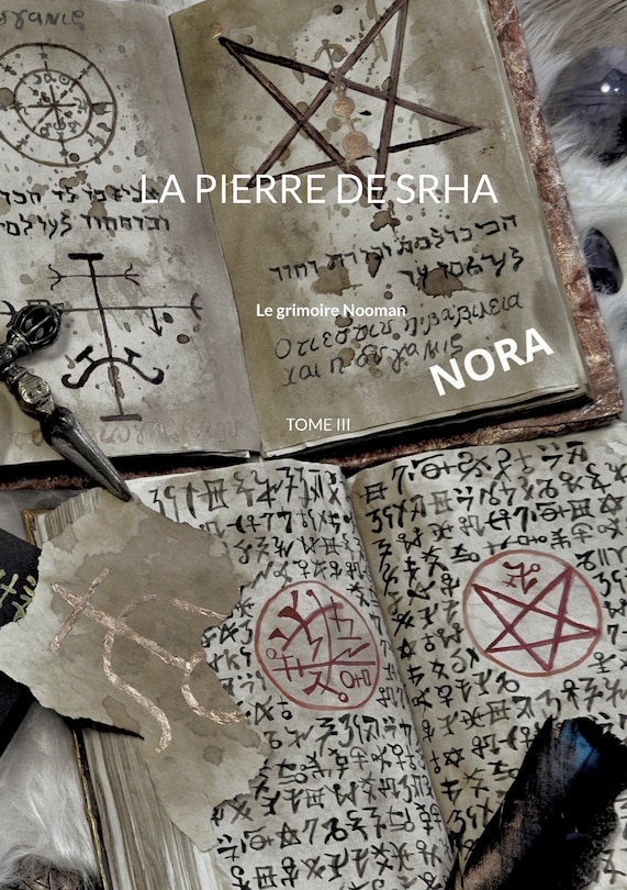 Couverture_La pierre de Srha