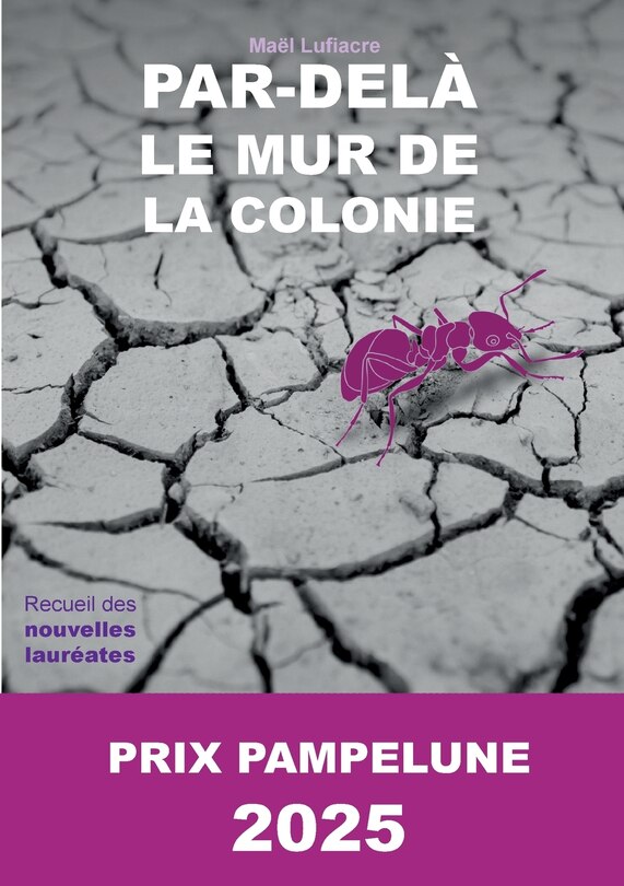 Front cover_Par-del&agrave; le Mur de la Colonie