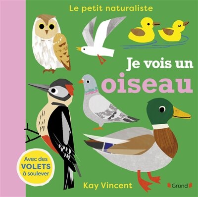 Couverture_Je vois un oiseau
