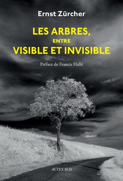 Couverture_Les arbres, entre visible et invisible