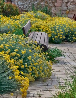 Couverture_Le jardin des migrations