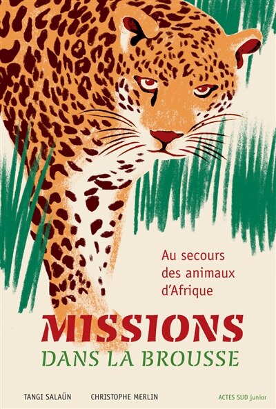 Missions dans la brousse: au secours des animaux d'Afrique