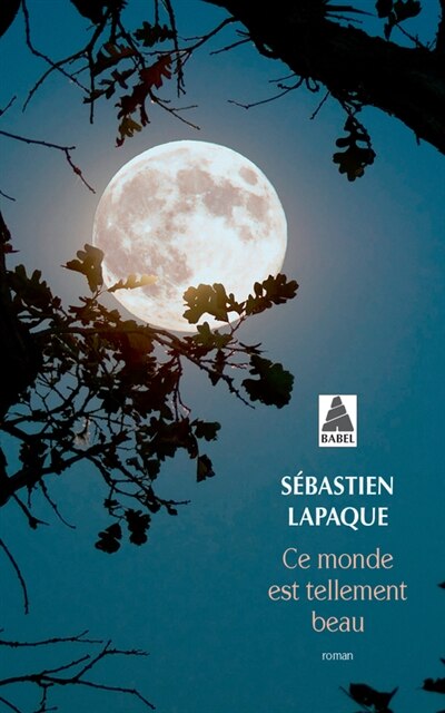 Couverture_Ce monde est tellement beau