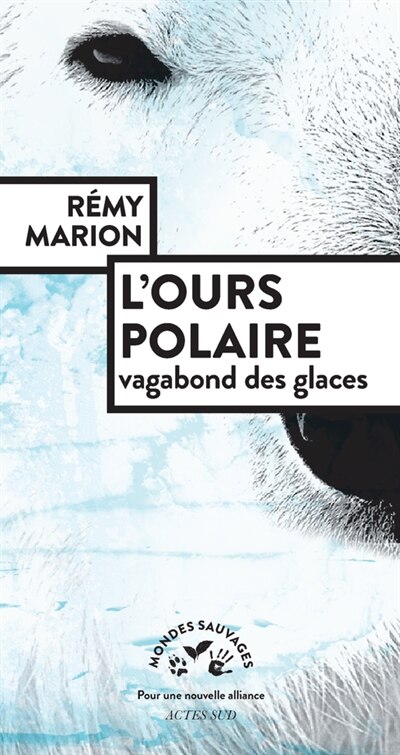 Front cover_L' ours polaire