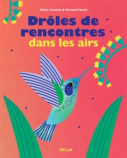 Front cover_Drôles de rencontres dans les airs