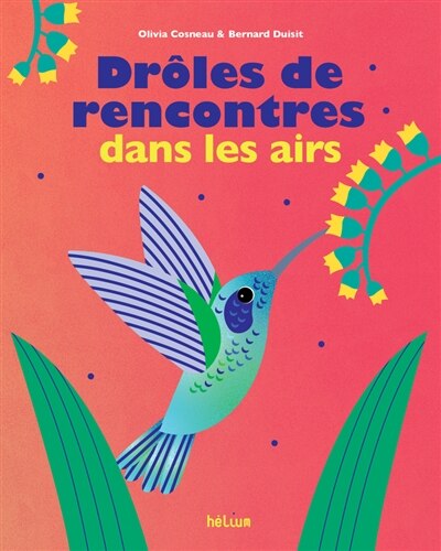 Front cover_Drôles de rencontres dans les airs
