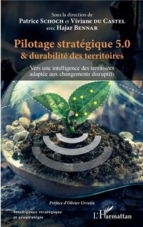 Front cover_Pilotage Stratégique 5.0 Et Durabilité Des Territoires