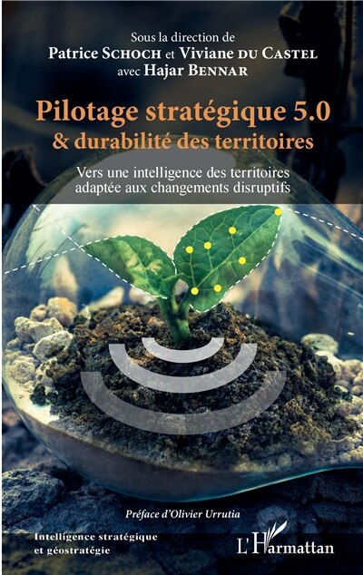 Front cover_Pilotage Stratégique 5.0 Et Durabilité Des Territoires