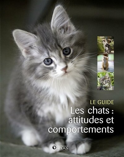 Couverture_Les chats