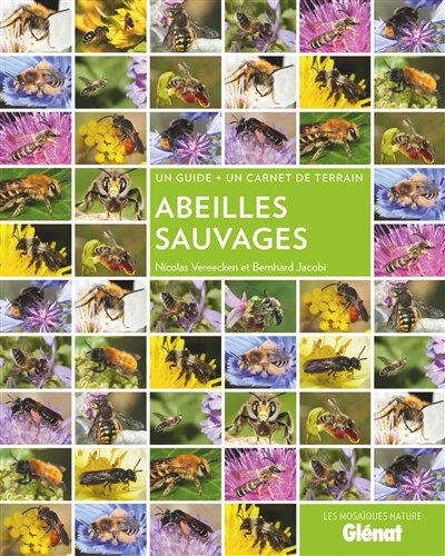 Front cover_Abeilles sauvages