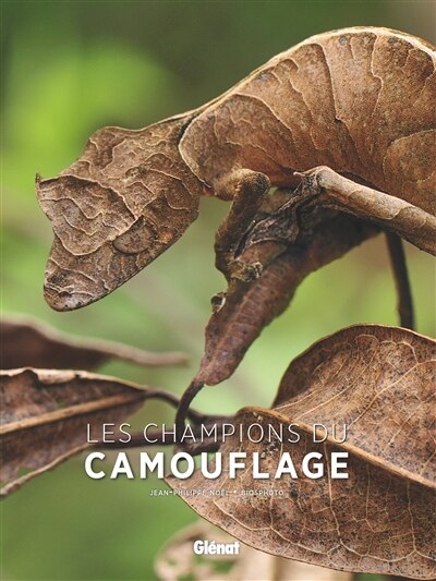 Couverture_LES CHAMPIONS DU CAMOUF