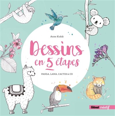 Couverture_Dessins en 5 etapes
