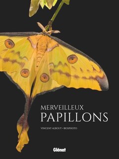 Couverture_Merveilleux papillons