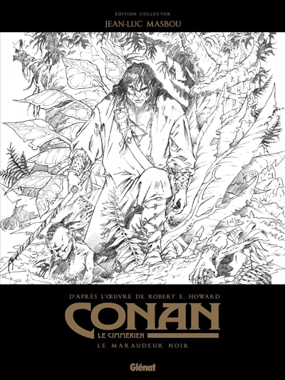 Couverture_Le maraudeur noir