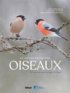 Front cover_Le grand atlas des oiseaux