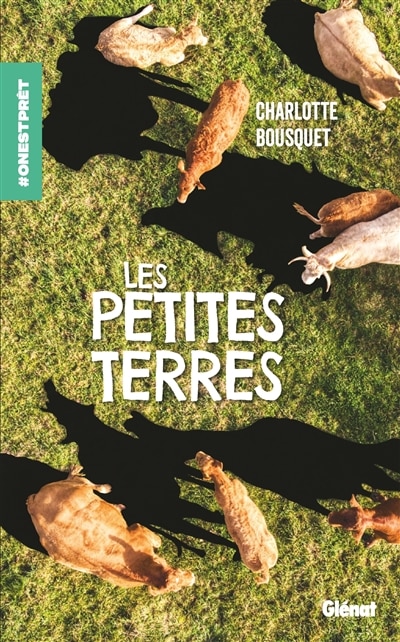 Couverture_Les petites terres