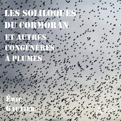 Front cover_Les soliloques du cormoran