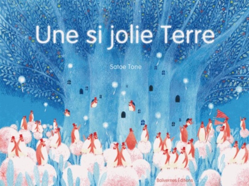 Couverture_Une si jolie Terre