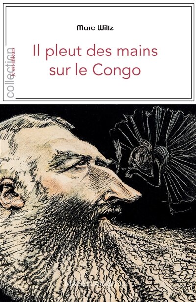 Couverture_Il pleut des mains sur le Congo