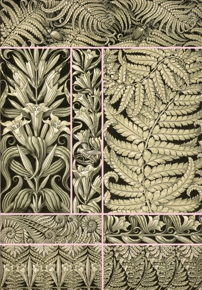 Front cover_Fantaisies & ornements