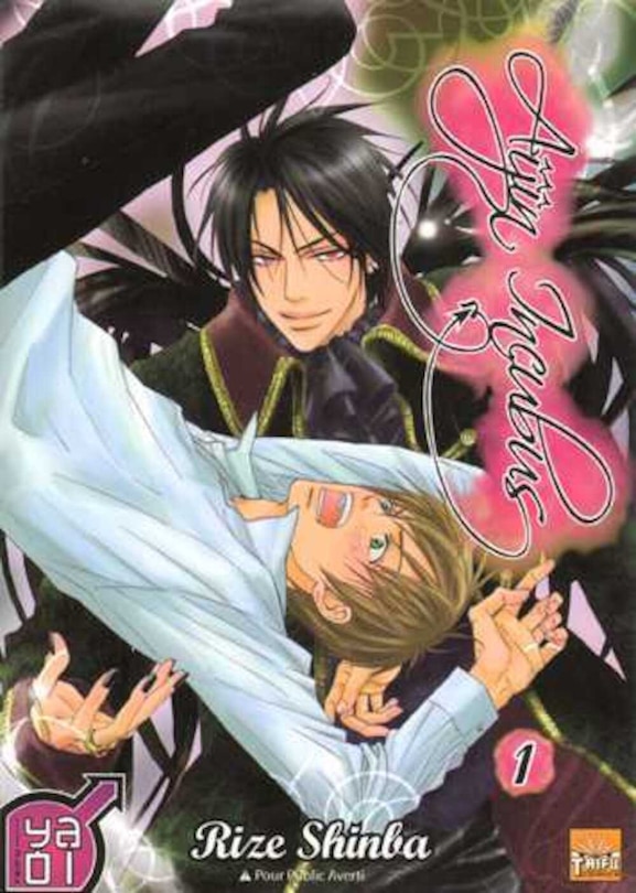 Front cover_Aijin Incubus, t. 02