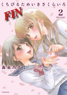 Front cover_Secret girlfriends, Vol. 2