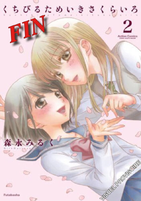 Front cover_Secret girlfriends, Vol. 2